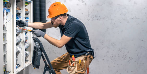 Best Electric Panel Repair  in Robbins, IL
